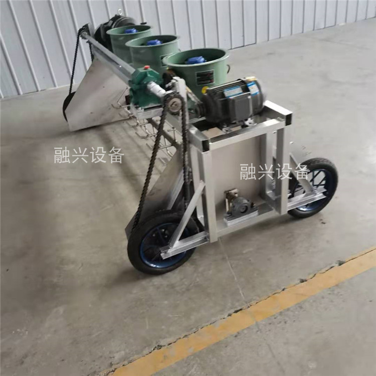 Summer beach concept