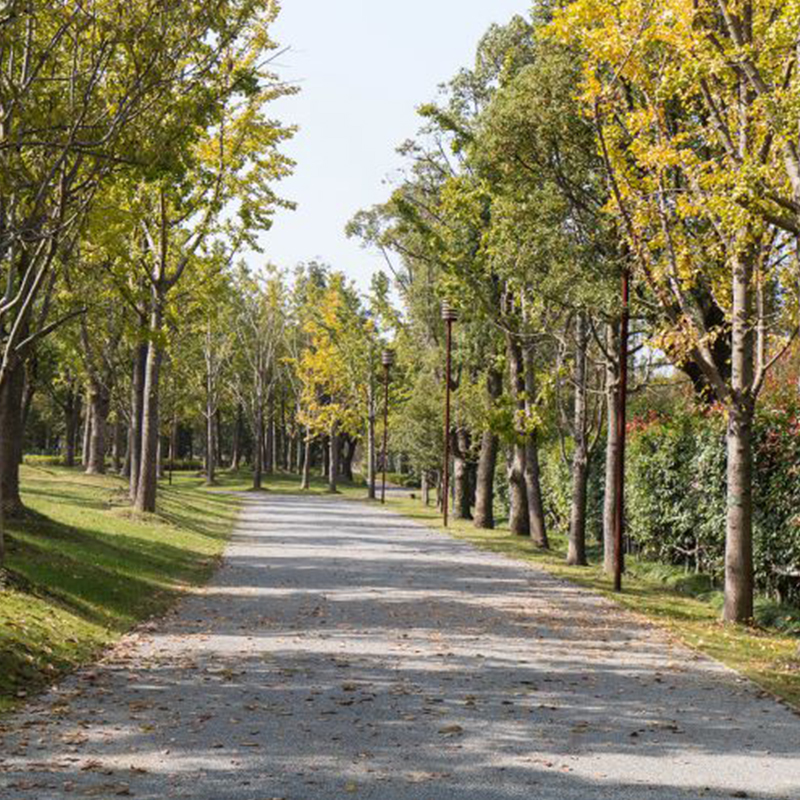 Summer beach concept