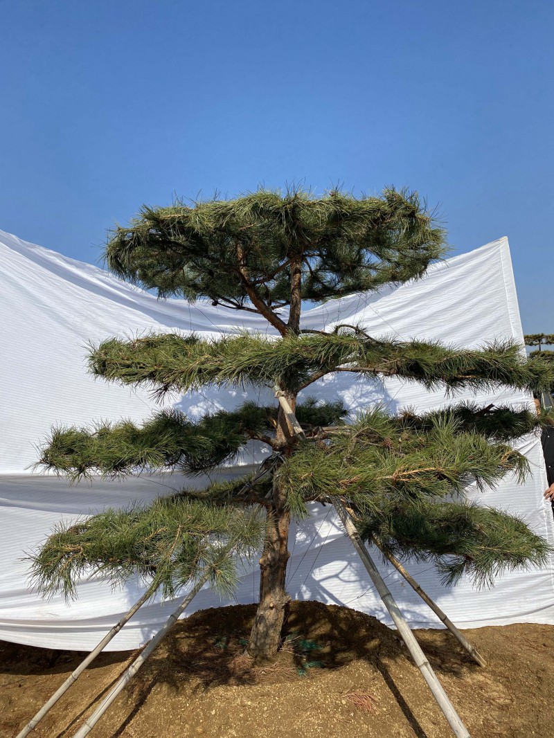 Summer beach concept