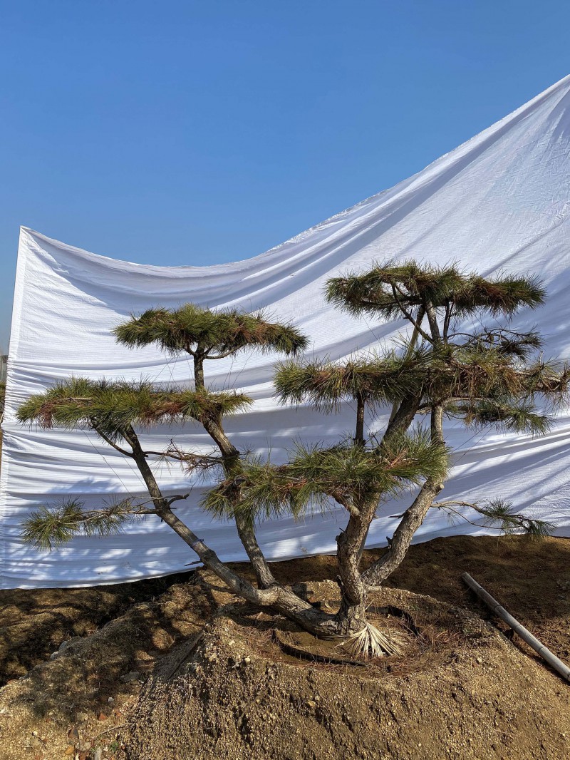 Summer beach concept