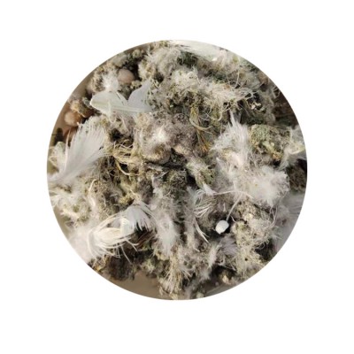 鲍氏厂家批发 鸽子粪 高端鸽子粪 发酵鸽子粪