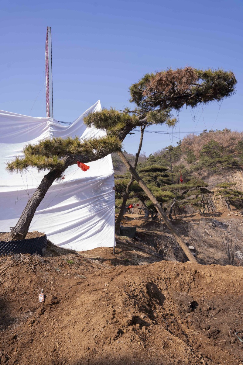 Summer beach concept