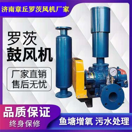 罗茨增氧机  罗茨增氧泵  增氧罗茨鼓风机