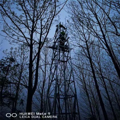 直销吉林视频监控塔厂 供应环境监测塔 森林防火监控塔