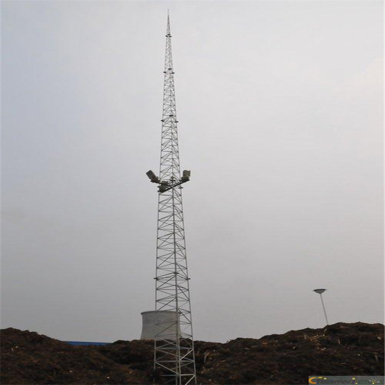 Summer beach concept