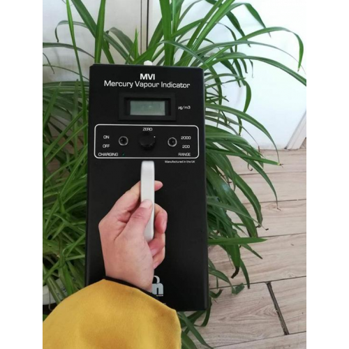 英国离子MVI汞蒸汽检测仪