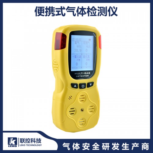 气体检测仪 便携式气体探测仪