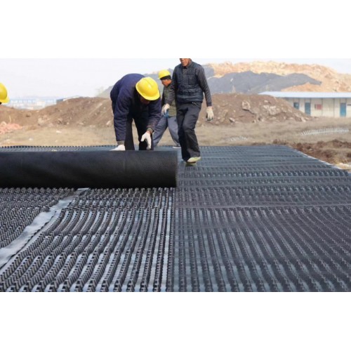 安徽排水板 合肥车库排水板 滤水板厂家