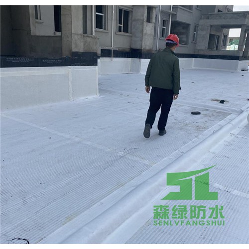 零坡度虹吸排水收集系统 ped14高分子排水异形片自粘土工布