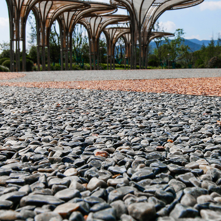 Summer beach concept