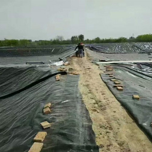 防渗土工膜、防渗土工布、鱼塘防渗膜公司厂家直供价格优惠