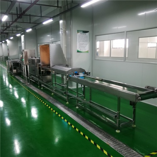 洗蛋机 不锈钢洗蛋机 多功能洗蛋机