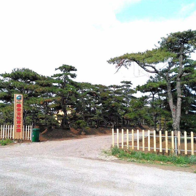 Summer beach concept