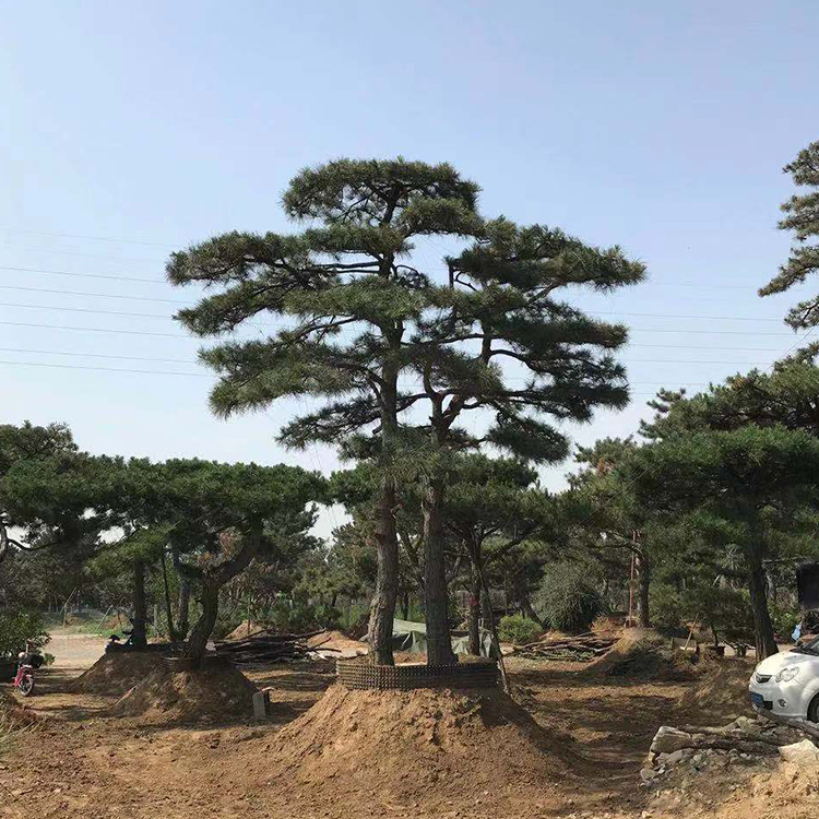 Summer beach concept