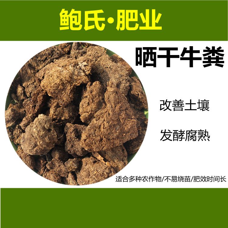 牛粪晒干图