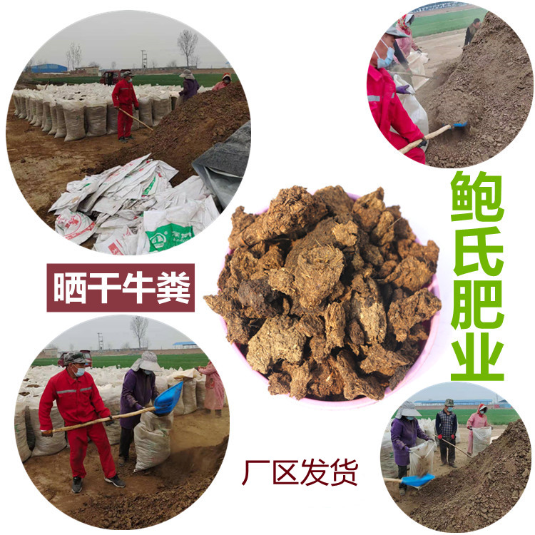 鲍氏晒干牛粪发货