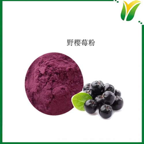 黑果花楸果粉 野樱莓粉 黑果腺肋花楸粉