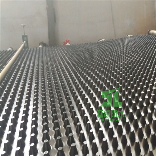 山东车库蓄排水板 蓄水板生产 疏水板厂家