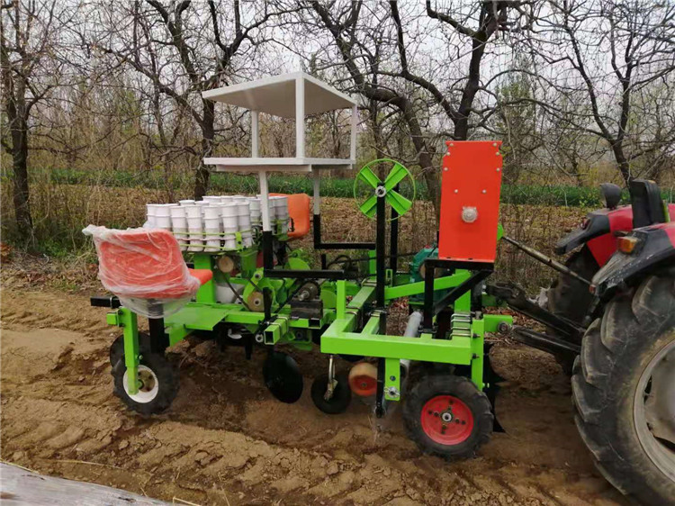 Summer beach concept