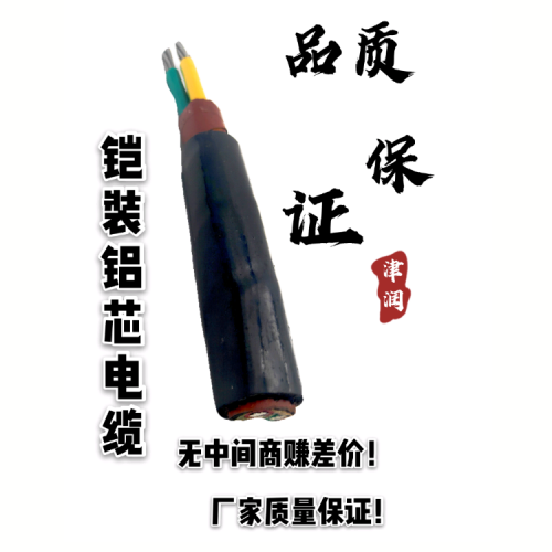 天津电缆厂供应DJYPVP 3*2*1.0计算机电缆采购价格