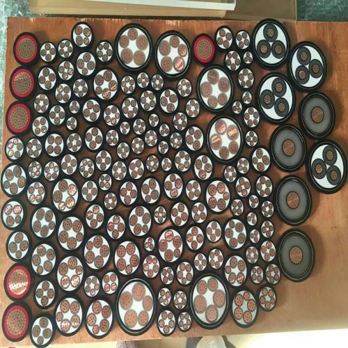 EISC-SS-R计算机电缆圆形外观天津生产厂家报价