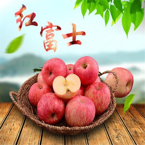 山东红富士苹果