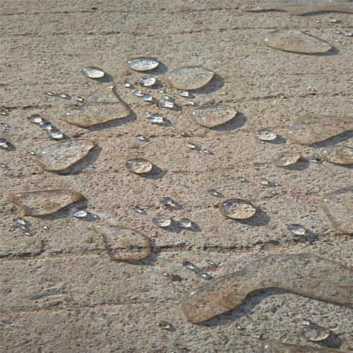 Summer beach concept