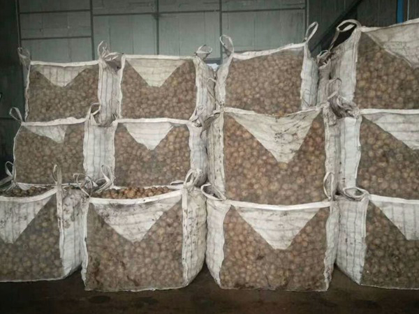 Summer beach concept