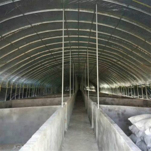 50米养鸡大棚建造 养殖保温大棚 四季温室大棚建造