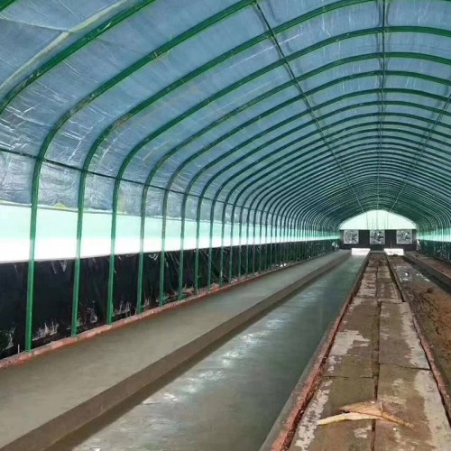 养鸡大棚一平方 新式养殖大棚 牛舍大棚建造 简易养猪大棚