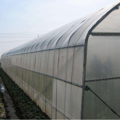 简易蔬菜大棚一亩造价 土墙温室大棚 花木大棚