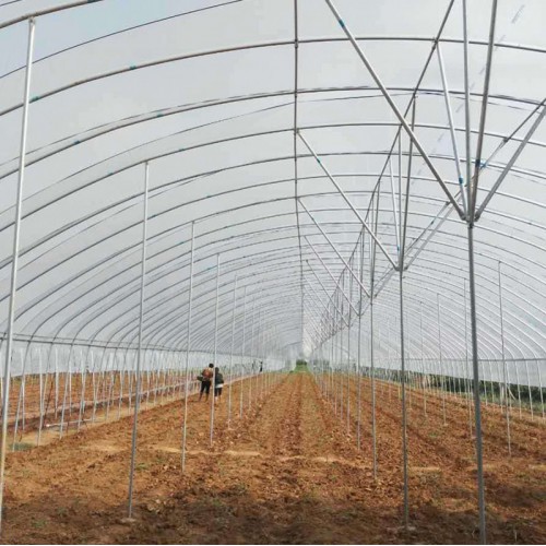 无土墙新型温室大棚 农村养羊棚 育鸡苗温室建设