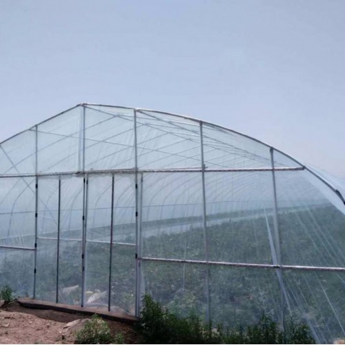10米宽钢架大棚 杨梅大棚 2亩花卉大棚投资