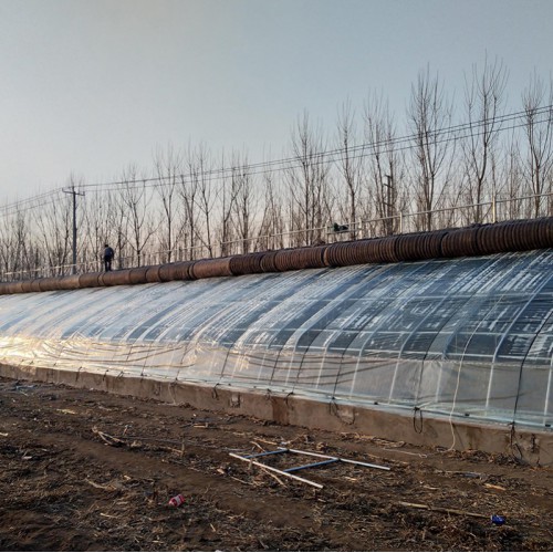 搭建大棚材料 种植食用菌大棚 无后墙式蔬菜大棚