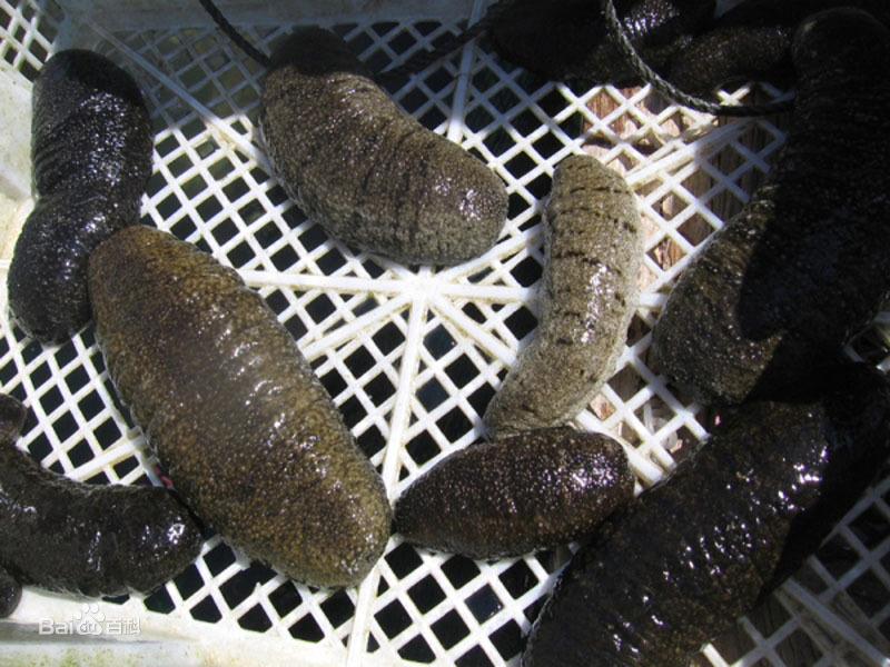 Summer beach concept