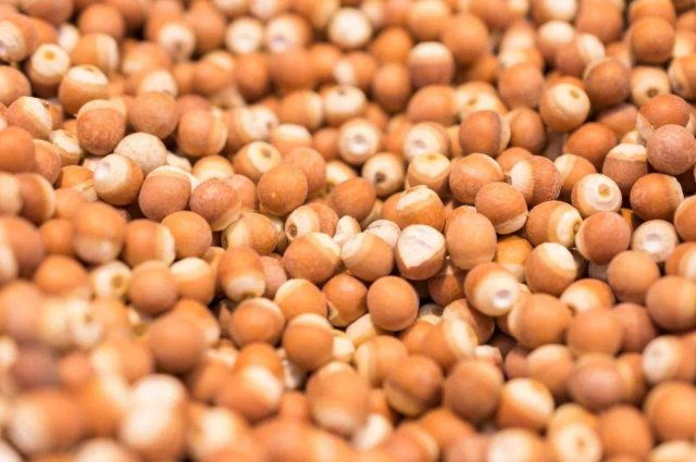 Summer beach concept