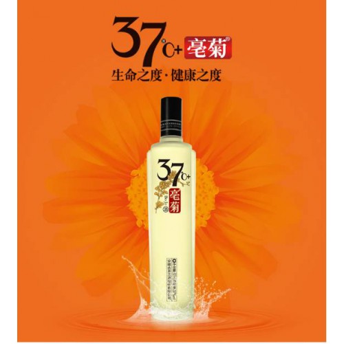 菊花养生酒定制