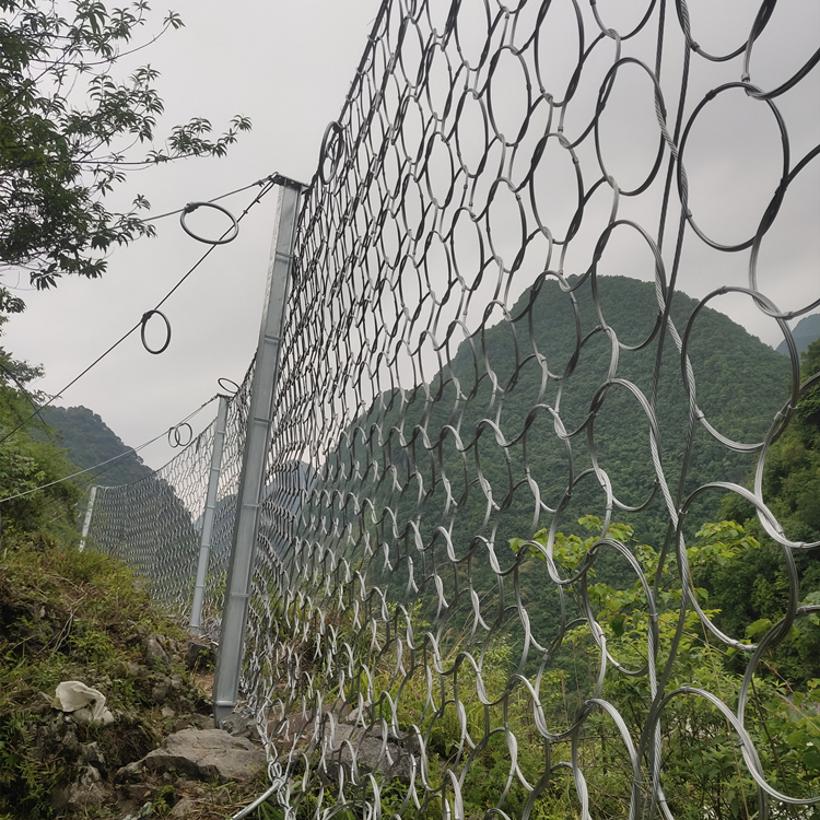 微信图片_202103211921356