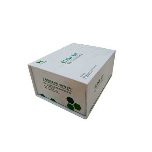 大鼠转化生长因子β（TGF-β）ELISA试剂盒