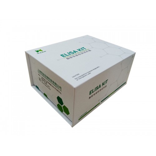 人白细胞介素6(IL-6)ELISA检测试剂盒