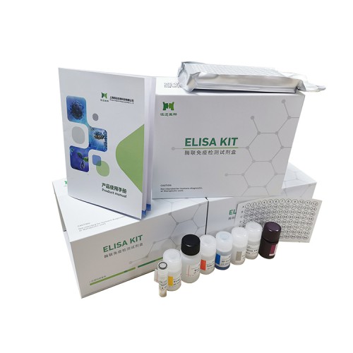 猴子白细胞介素12（IL-12）ELISA试剂盒厂家直销