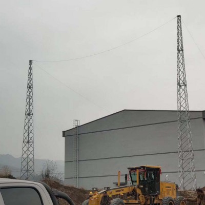 安徽阳新30米避雷针塔价格 质优价廉可定制