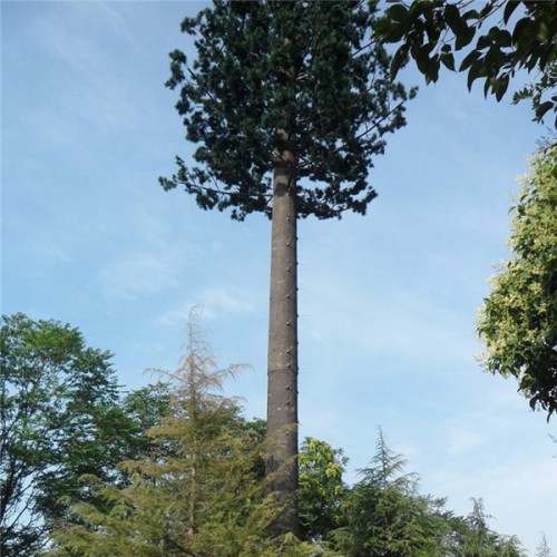 批发广西35米单管铁塔厂 可美化多用仿生树单管塔