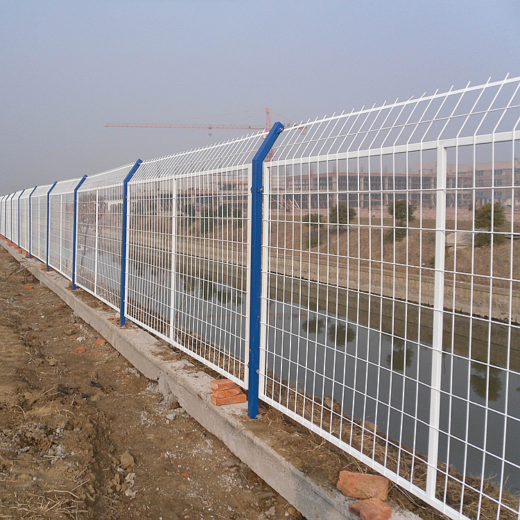 Summer beach concept