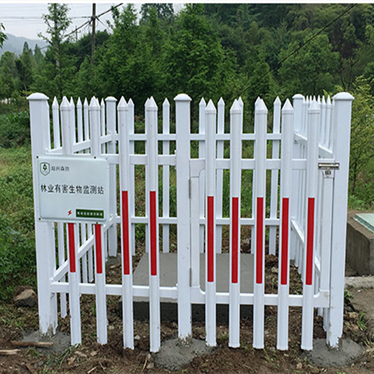 Summer beach concept