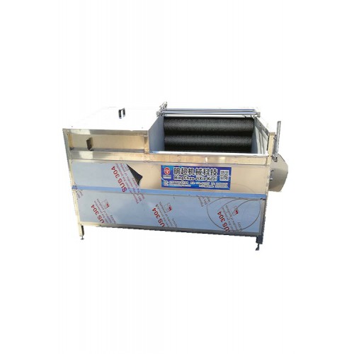 莲藕山药磨皮清洗机 胡萝卜毛辊去泥清洗机紫薯地瓜去皮清洗设备