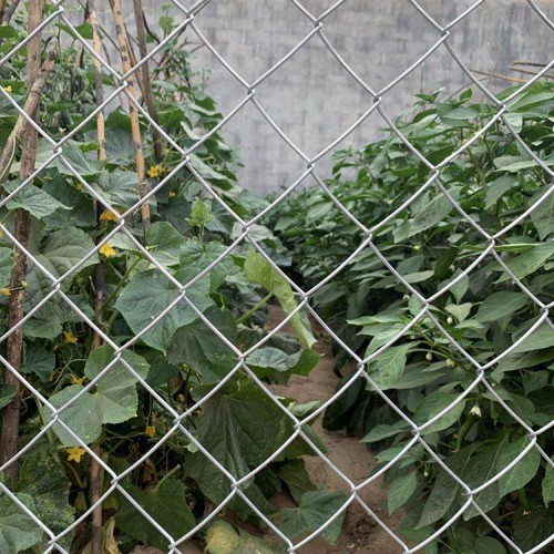 果园护栏网 圈山护栏网 围地隔离网