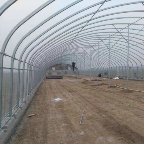 建小型花卉大棚 土墙温室大棚建造 简易防雨大棚