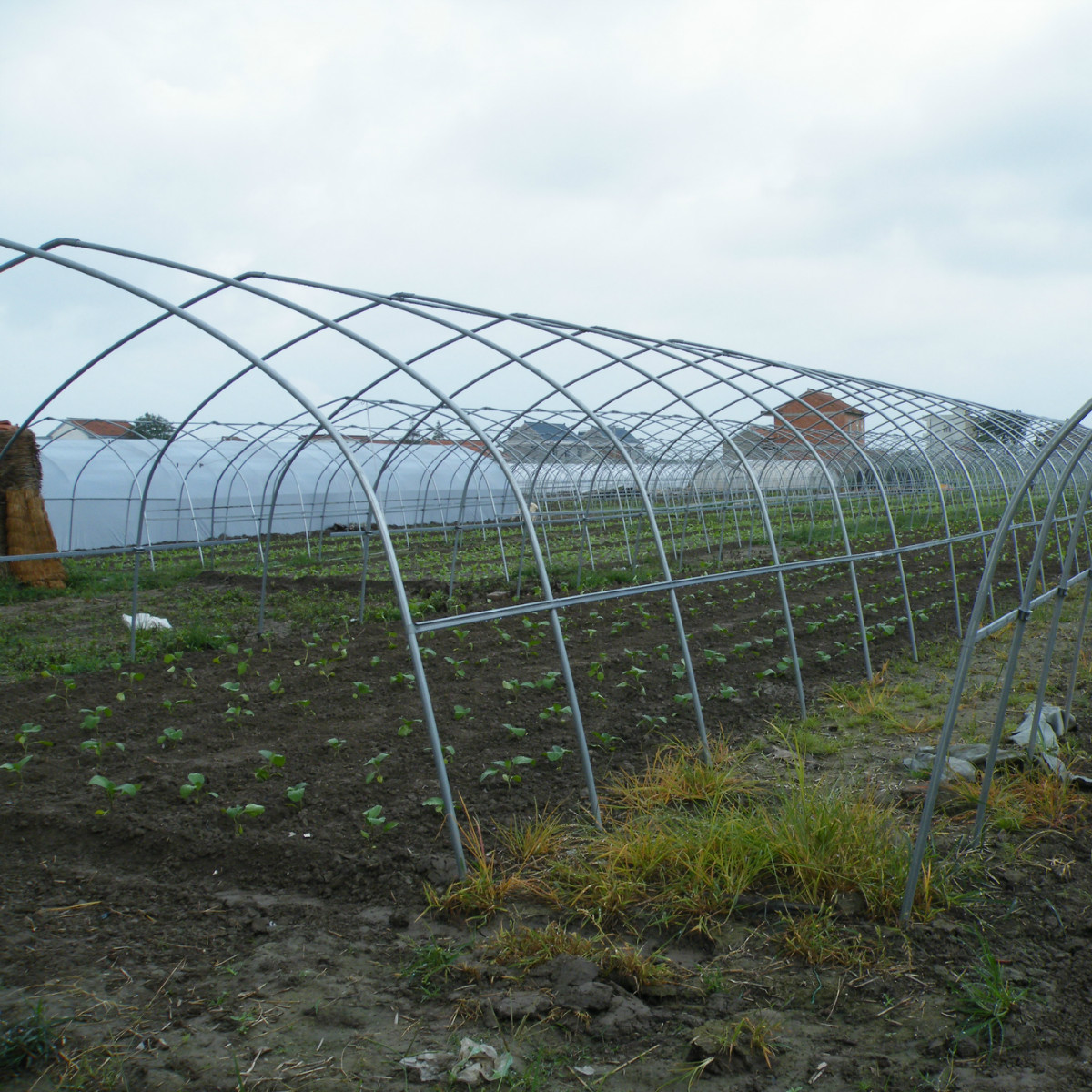 Summer beach concept