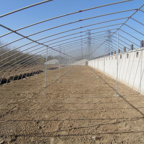 蔬菜大棚暖棚 新型无后墙冬暖式大棚 温室大棚搭建 番茄大棚